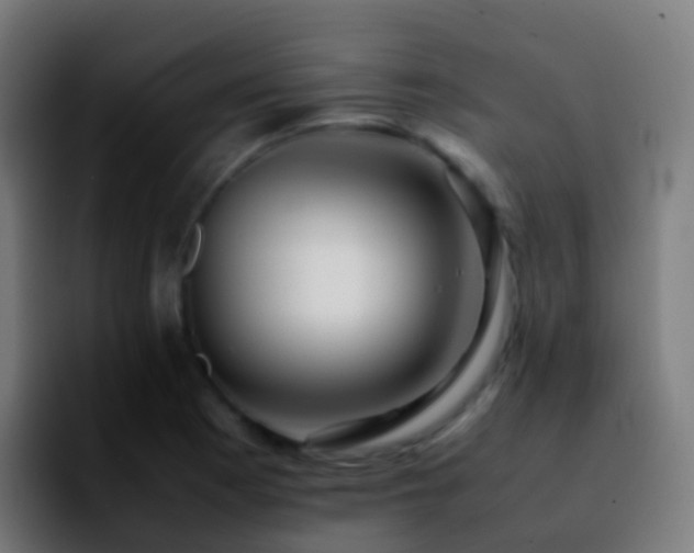 X0000092251177200709211056