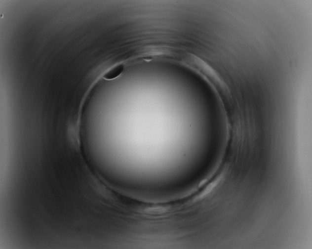 X0000092251178200709211056