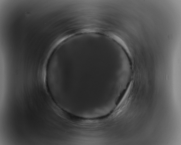 X0000092251179200709211056