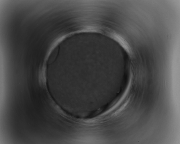 X0000092251180200709211056