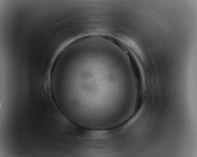X0000092251184200709211056