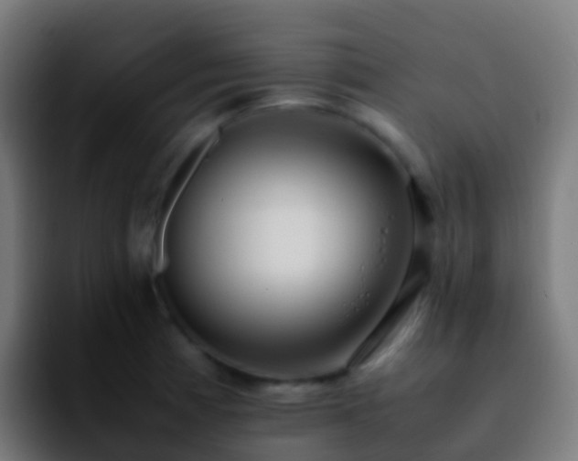 X0000092251185200709211056