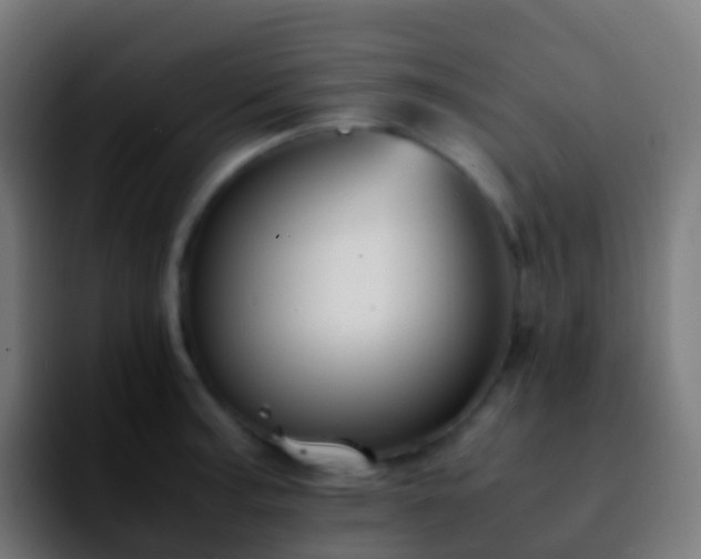 X0000092251187200709211056
