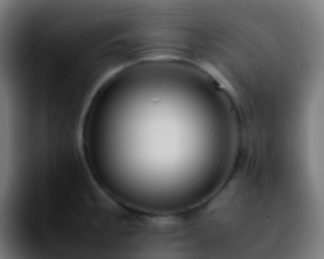 X0000092251189200709211056