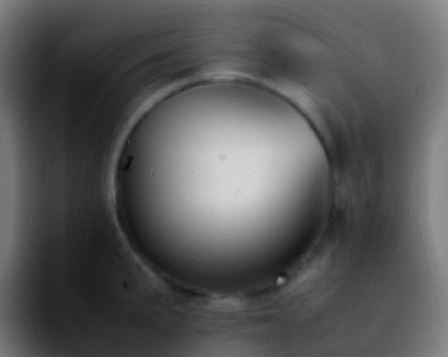X0000092251191200709211056