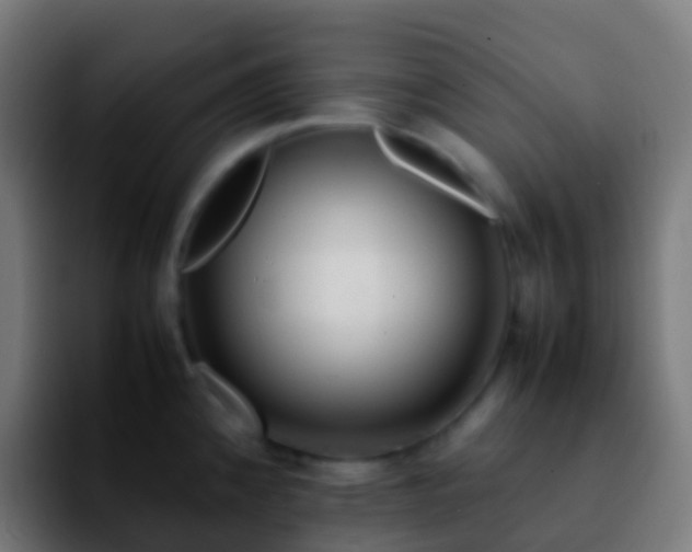 X0000092251192200709211056