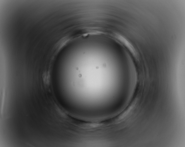 X0000092251193200709211056