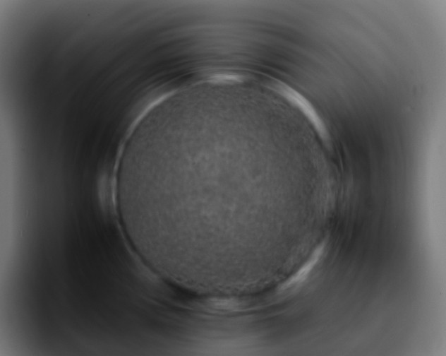 X0000092251194200709211056