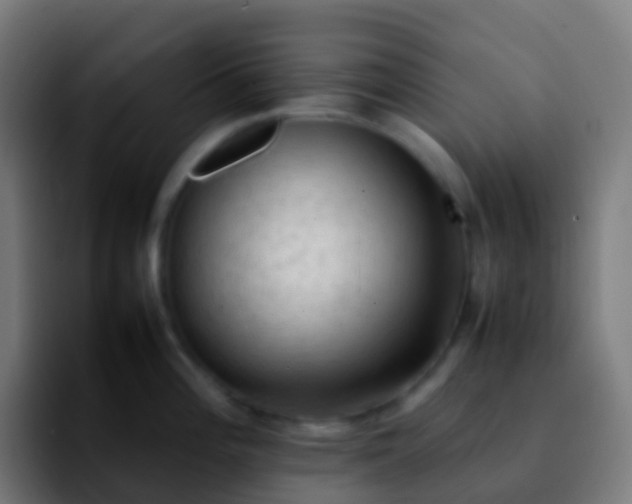 X0000092251196200709211056