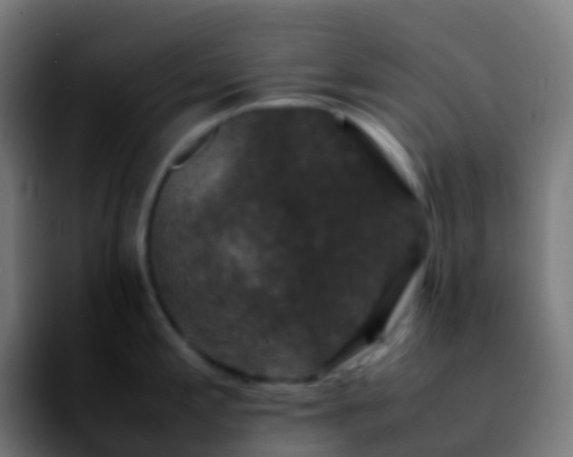 X0000092251197200709211056