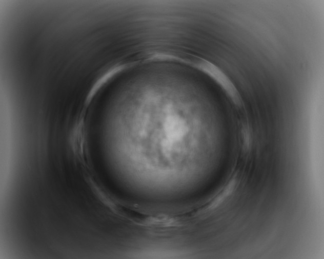 X0000092251198200709211056