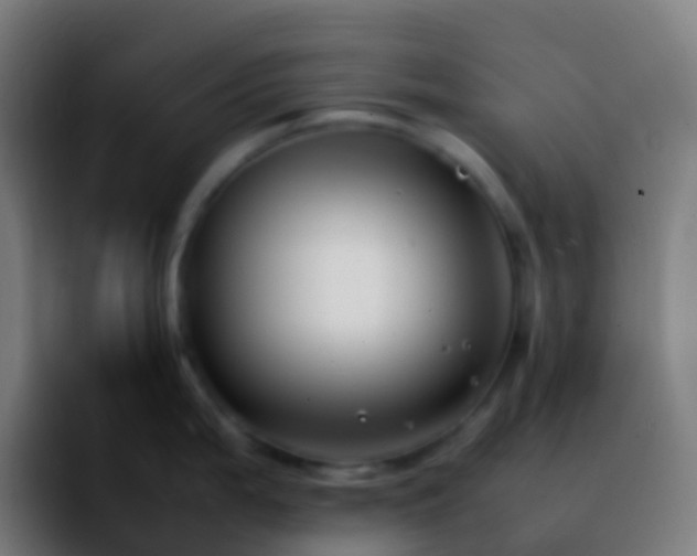 X0000092251199200709211056