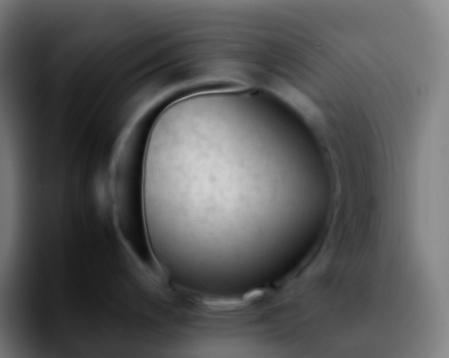 X0000092251200200709211056