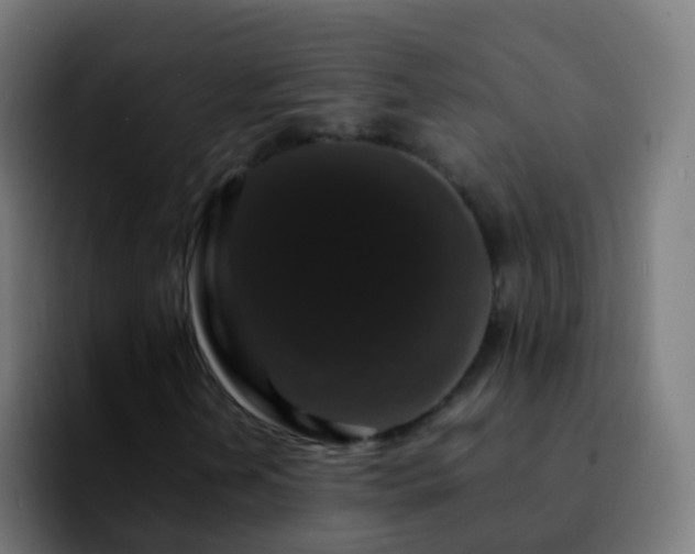 X0000092251202200709211055