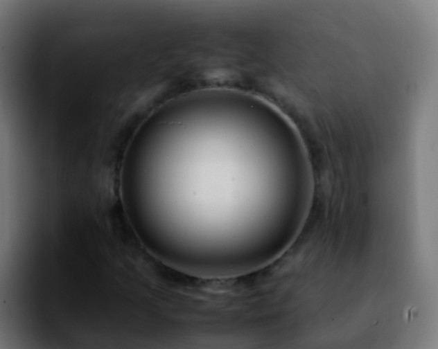 X0000092251205200709211055