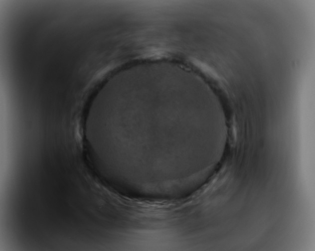 X0000092251206200709211055