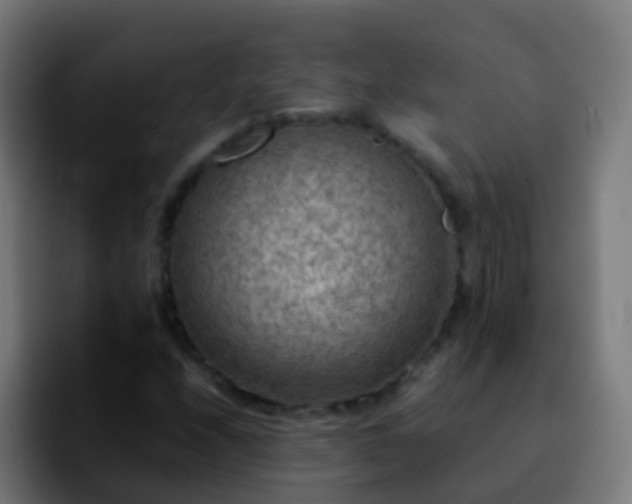 X0000092251208200709211055
