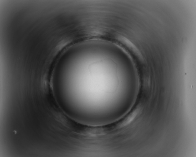 X0000092251210200709211055