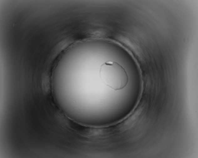 X0000092251211200709211055