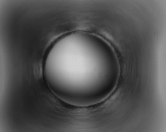 X0000092251214200709211055