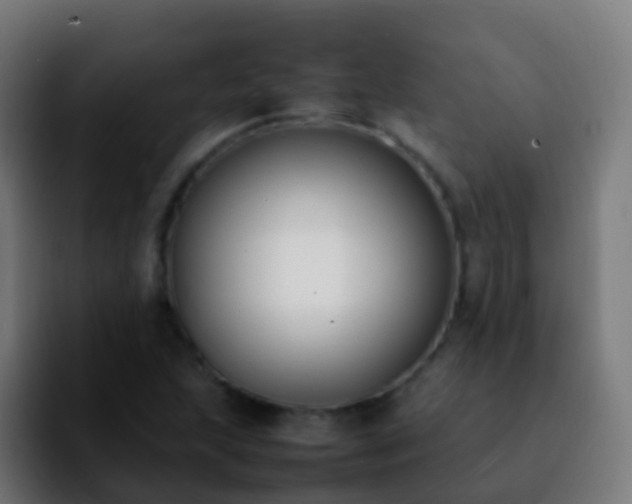 X0000092251215200709211055