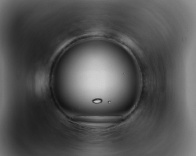 X0000092251216200709211055