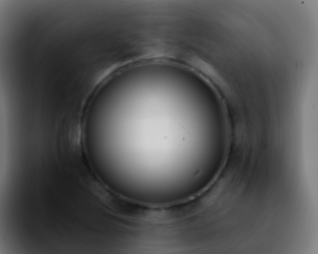 X0000092251220200709211055
