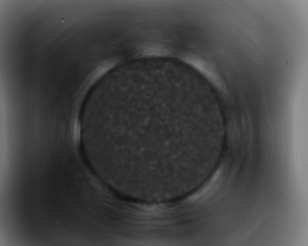 X0000092251221200709211055