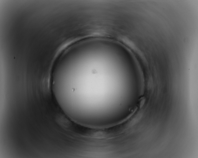 X0000092251222200709211055
