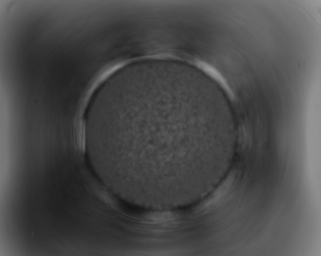 X0000092251223200709211055
