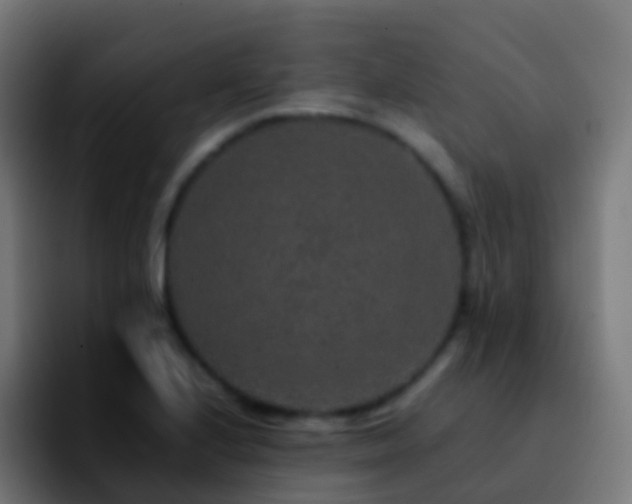X0000092251224200709211055
