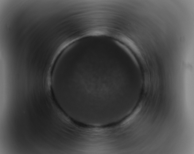 X0000092251226200709211055