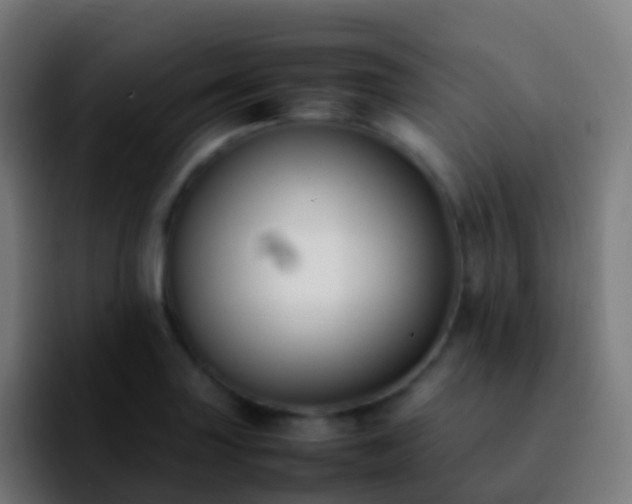 X0000092251227200709211055
