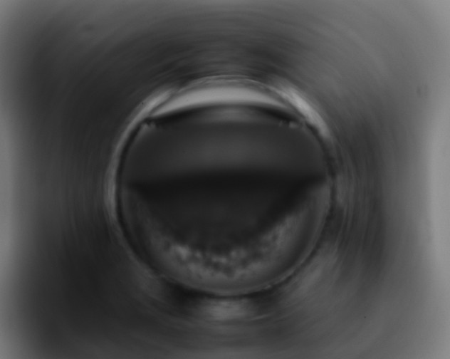 X0000092251229200709211055