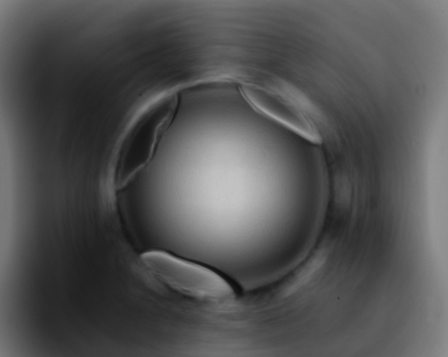 X0000092251230200709211055