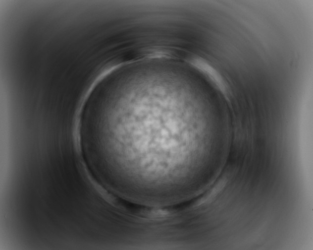 X0000092251235200709211055