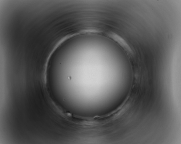X0000092251236200709211055