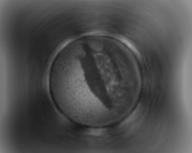 X0000092251237200709211055