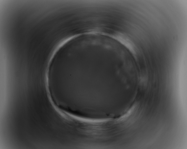 X0000092251239200709211055