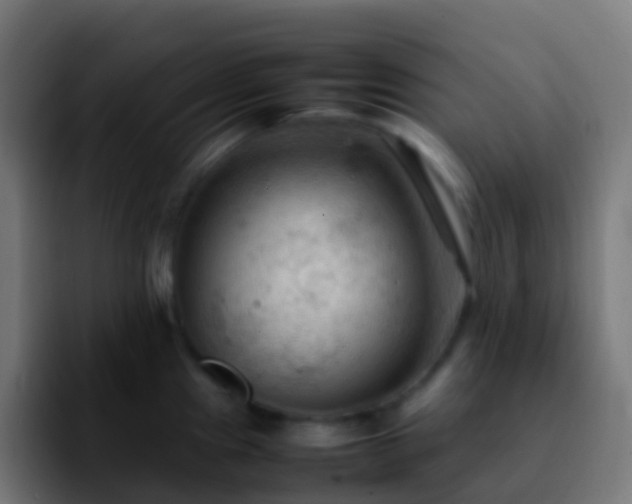 X0000092251241200709211055