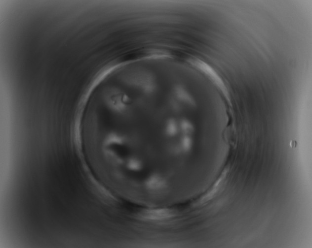 X0000092251243200709211055