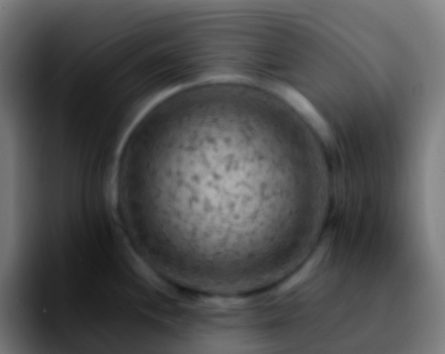 X0000092251244200709211056