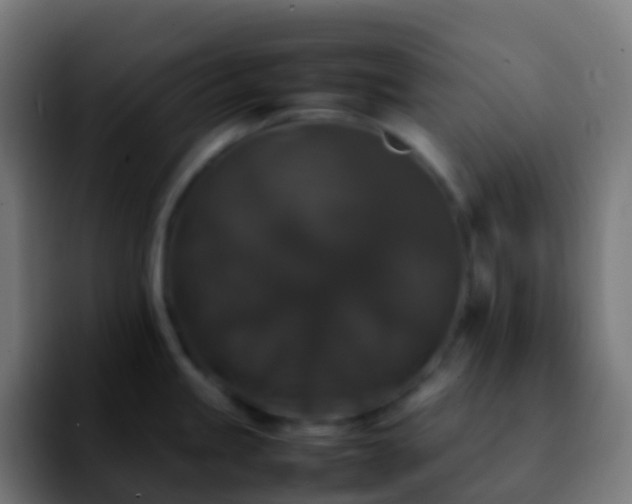 X0000092251245200709211056