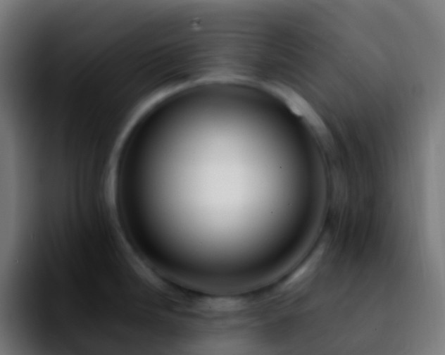 X0000092251246200709211056