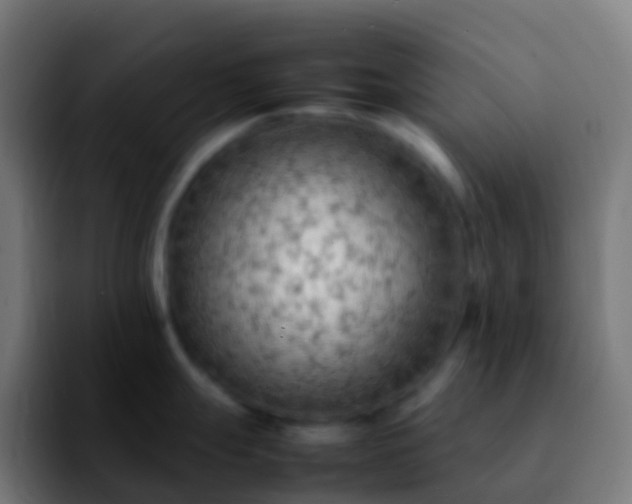 X0000092251247200709211056