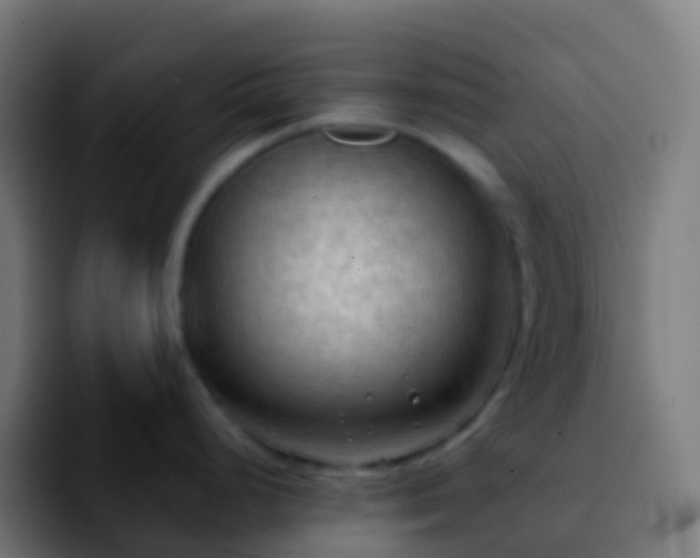 X0000092251248200709211056