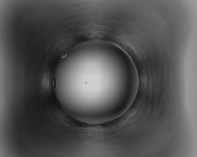 X0000092251250200709211055