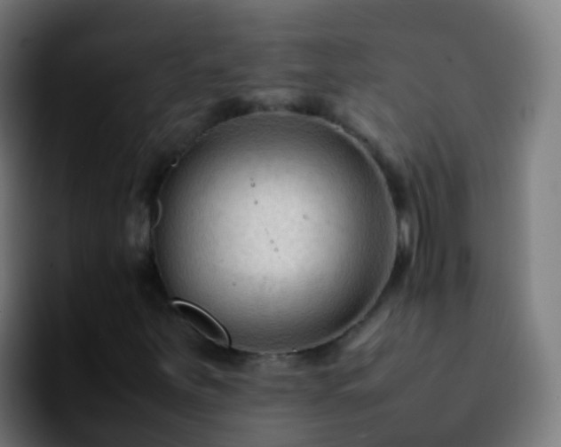 X0000092251251200709211055