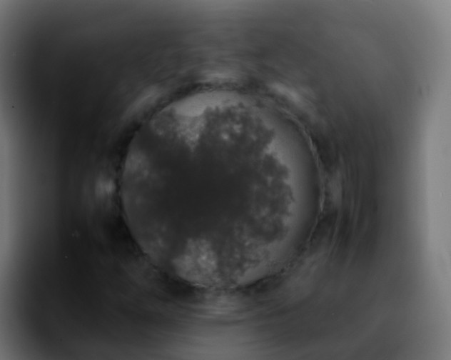X0000092251254200709211055