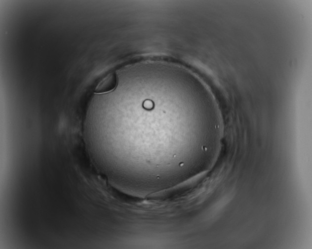 X0000092251255200709211055